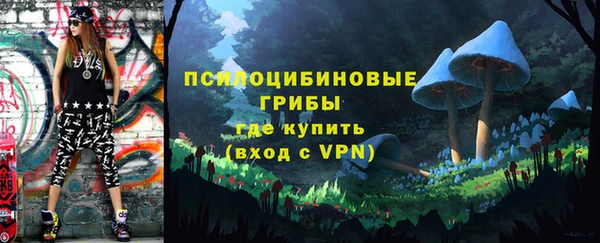 гашик Киренск