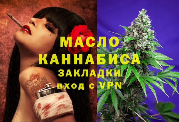 мдпв Каменногорск